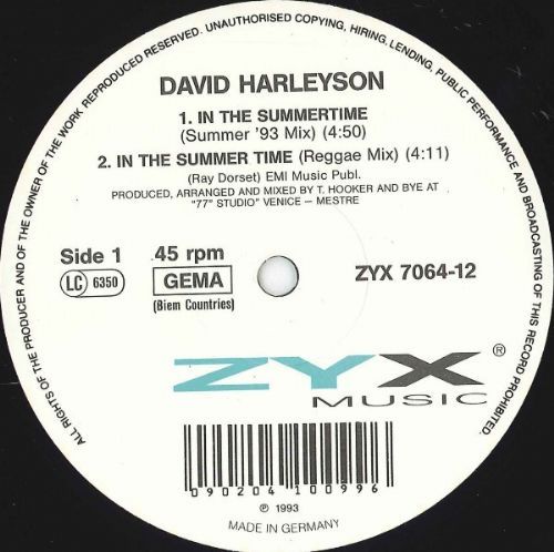 David Harleyson - In The Summertime