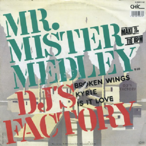 DJs Factory - Mr. Mister Medley