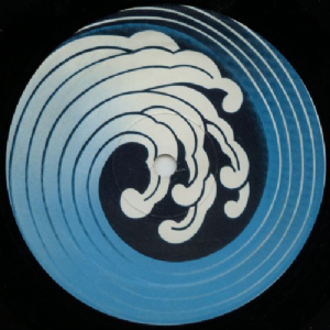 Roy The Boy Presents M.C. Sean e Randy - I Will Survive Medley With Or Maybe Not