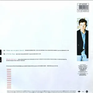 Rick Astley - Take Me To Your Heart / The Dick Dastardly Mix