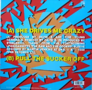 Fine Young Cannibals - She Drives Me Crazy