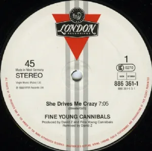Fine Young Cannibals - She Drives Me Crazy