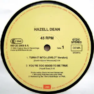 Hazell Dean - Turn It Into Love / Megamix