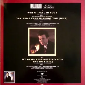 Rick Astley - My Arms Keep Missing You