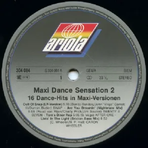 Various - Maxi Dance Sensation 2 / LP Duplo