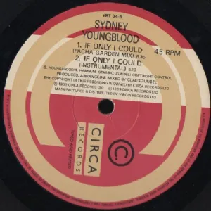 Sydney Youngblood - If Only I Could