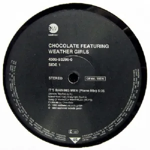 The Weather Girls - Its Raining Men