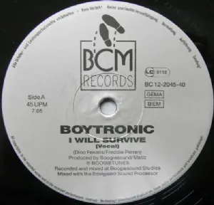 Boytronic - I Will Survive