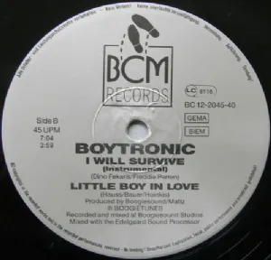 Boytronic - I Will Survive