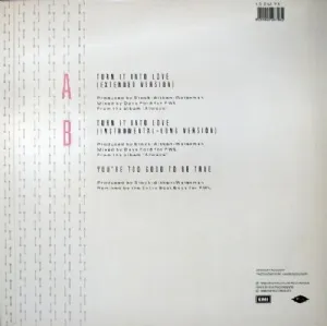 Hazell Dean - Turn It Into Love