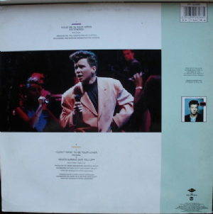 Rick Astley - Hold Me In Your Arms / Extended