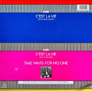 Robbie Nevil - Cest La Vie
