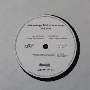 Pure Orange Feat. Shane Nolan - Feel Alive