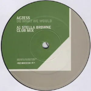 Aczess - Do What We Would / 12'' Duplo