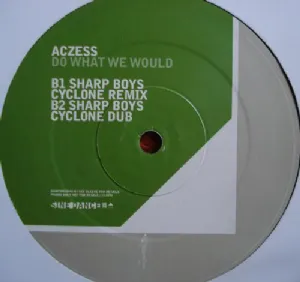 Aczess - Do What We Would / 12'' Duplo