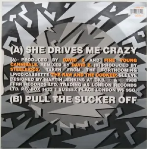 Fine Young Cannibals - She Drives Me Crazy / Remix