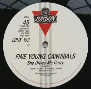Fine Young Cannibals - She Drives Me Crazy / Remix