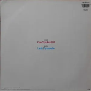 Clinton and Clinton - Can You Feel It