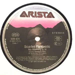 Scarlet Fantastic - No Memory