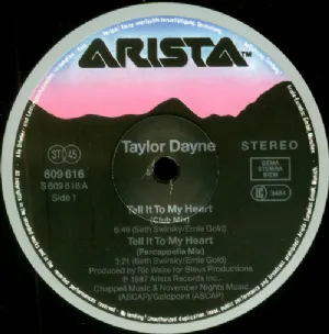 Taylor Dayne - Tell It To My Heart