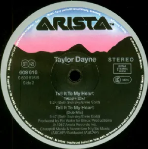 Taylor Dayne - Tell It To My Heart