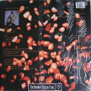 La Vie En Rose Presents Miquel Brown - So Many Men, So Little Time
