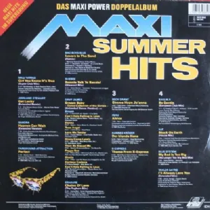 Various - Maxi Summer Hits / LP Duplo