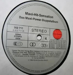 Various - Maxi Hit Sensation / Das Maxi Power Doppelalbum / 2x LPS