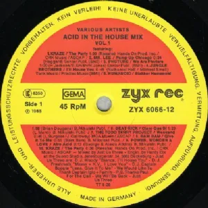 Various - Acid In The House Mix Vol. 1