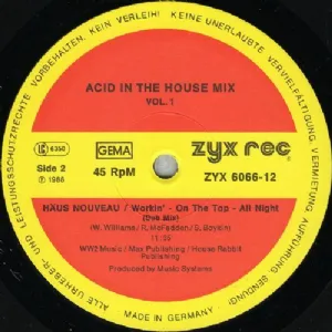 Various - Acid In The House Mix Vol. 1