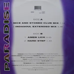 Adventures Of Stevie V. - Paradise