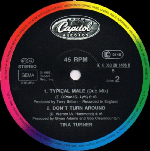 Tina Turner - Typical Male / Dance Mix
