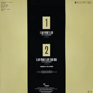 Gloria Gaynor - I Am What I Am Extended Version