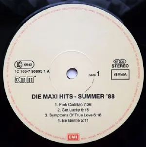 Various - Die Maxi Hits - Summer 88 / LP Duplo