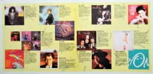 Various - Die Maxi Hits - Summer 88 / LP Duplo