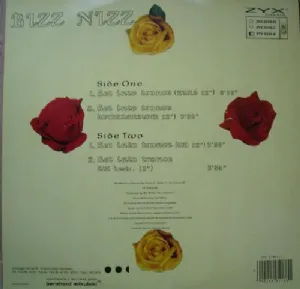 Bizz Nizz - Get Into Trance