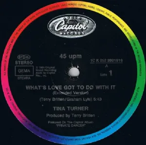 Tina Turner - Whats Love Got To Do With It / Extended Version
