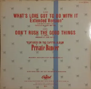 Tina Turner - Whats Love Got To Do With It / Extended Version