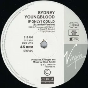 Sydney Youngblood - If Only I Could
