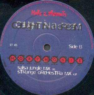 Marc Z Presents Morphosis - Caught In A Dream