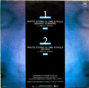 Sandy Marton - White Storm In The Jungle / Two Special D.J. Versions