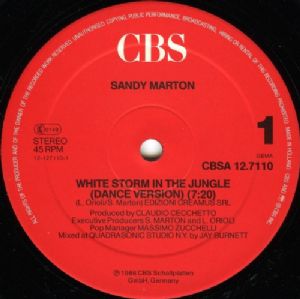 Sandy Marton - White Storm In The Jungle / Two Special D.J. Versions